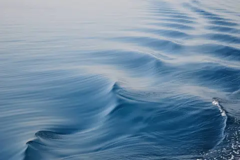 Policy and Regulatory Compliance