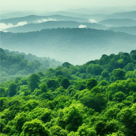 Assessment and Reporting image