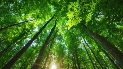 How the omnibus simplification package will shape the future of sustainability reporting