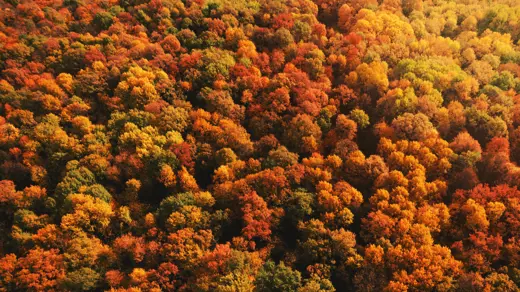 What is catching the attention of tech investors in 2025?